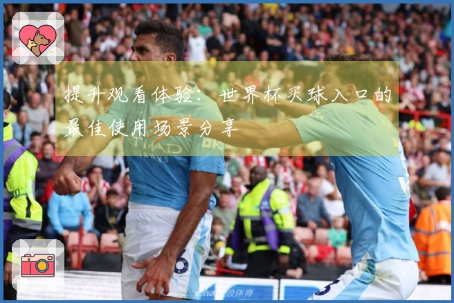 提升观看体验：世界杯买球入口的最佳使用场景分享