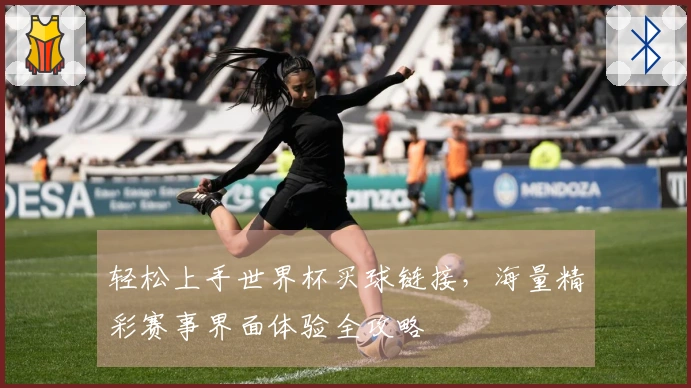 轻松上手世界杯买球链接，海量精彩赛事界面体验全攻略