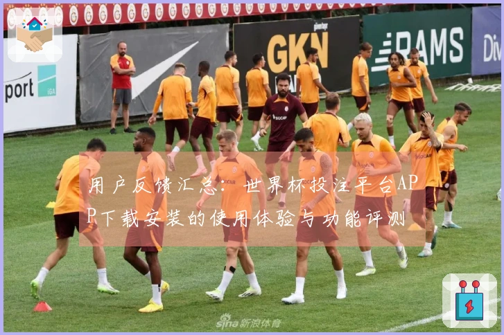 用户反馈汇总：世界杯投注平台APP下载安装的使用体验与功能评测