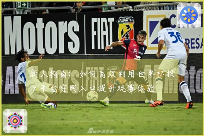 新人指南：如何高效利用世界杯投注平台官网入口提升观赛体验