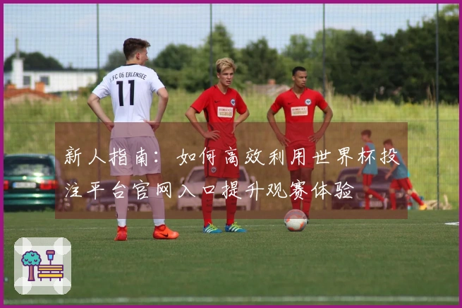新人指南：如何高效利用世界杯投注平台官网入口提升观赛体验
