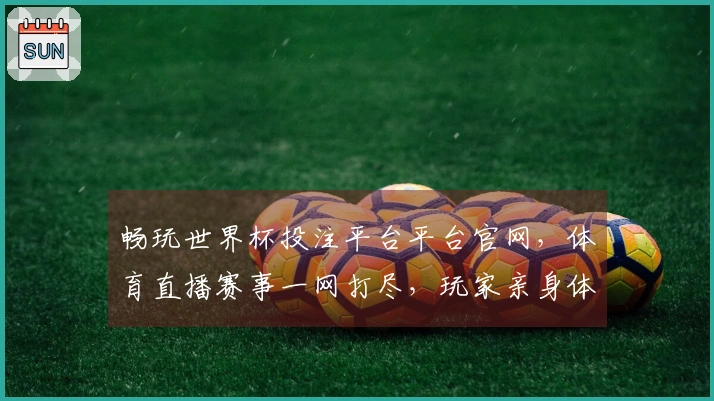 畅玩世界杯投注平台平台官网，体育直播赛事一网打尽，玩家亲身体验全方位指引