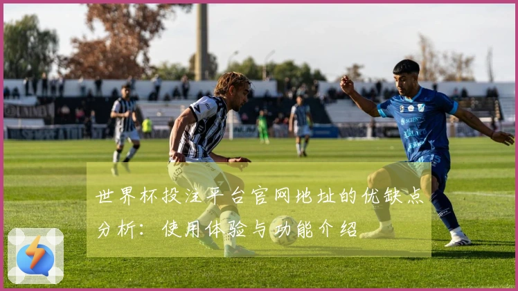 世界杯投注平台官网地址的优缺点分析：使用体验与功能介绍