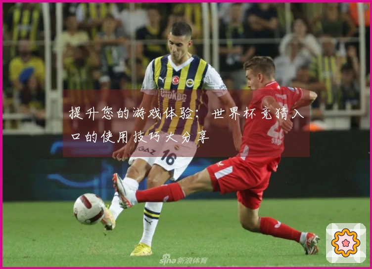 提升您的游戏体验：世界杯竞猜入口的使用技巧大分享