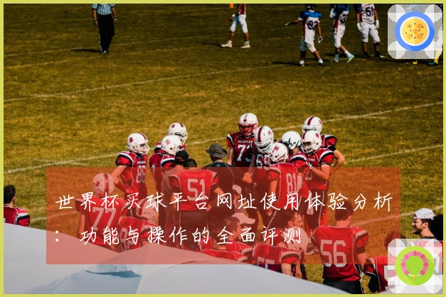 世界杯买球平台网址使用体验分析：功能与操作的全面评测