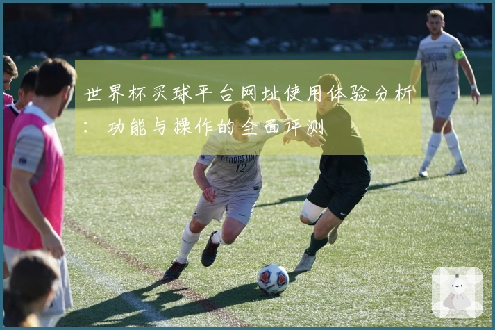 世界杯买球平台网址使用体验分析：功能与操作的全面评测