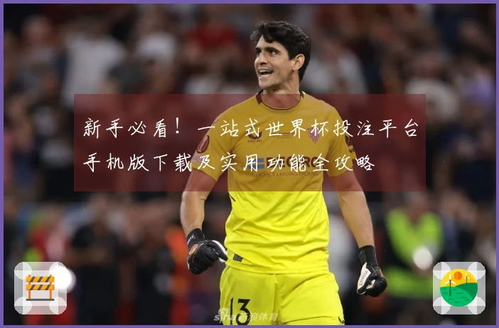 新手必看！一站式世界杯投注平台手机版下载及实用功能全攻略