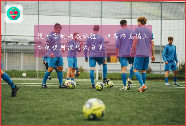 提升您的游戏体验：世界杯竞猜入口的使用技巧大分享