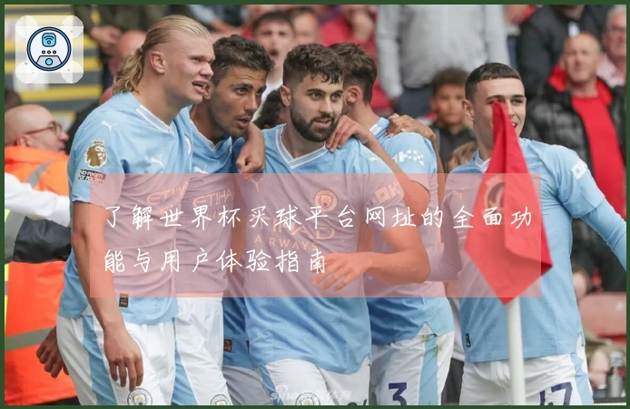 了解世界杯买球平台网址的全面功能与用户体验指南