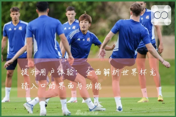 提升用户体验：全面解析世界杯竞猜入口的界面与功能