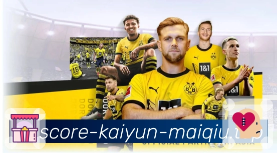 开云买球APP 高清赛事图